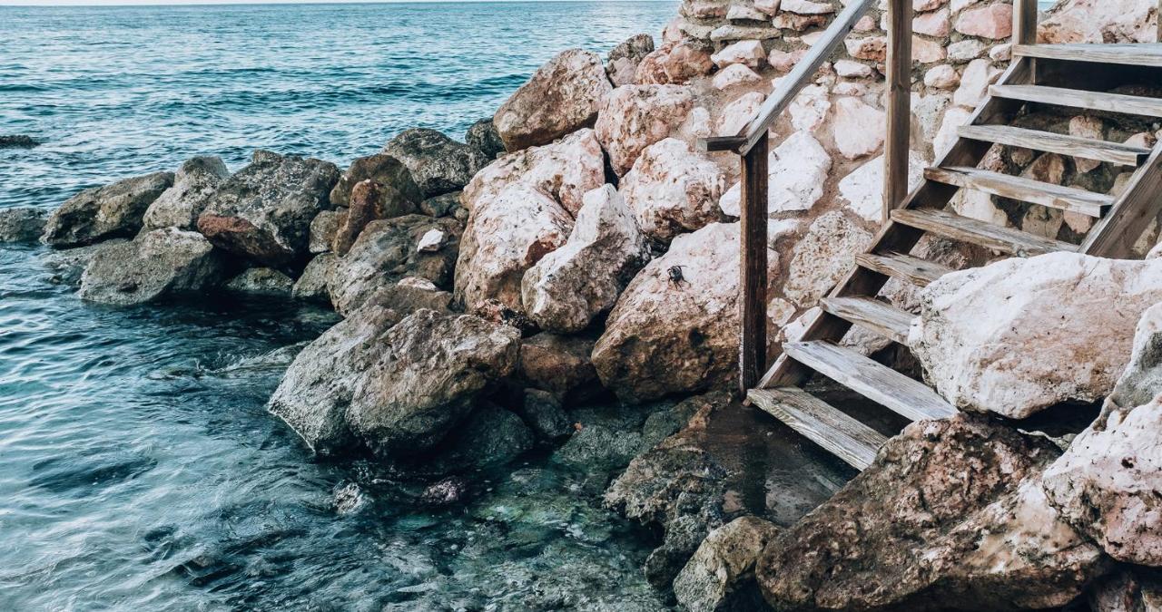 Terra Boutique Hotel Curacao Willemstad Zewnętrze zdjęcie