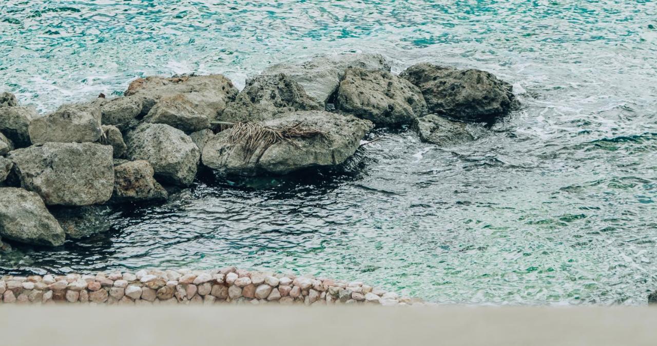 Terra Boutique Hotel Curacao Willemstad Zewnętrze zdjęcie